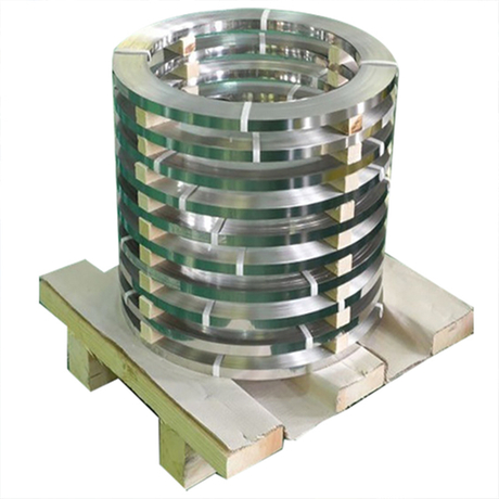 ASTM 309 Stainless Steel Strip 
